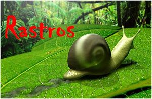 RastrosTitulo.jpg